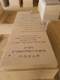 תמונת מצבה