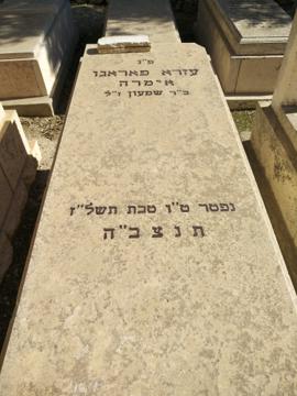 תמונת מצבה
