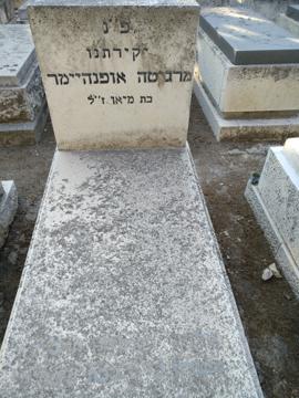 תמונת מצבה