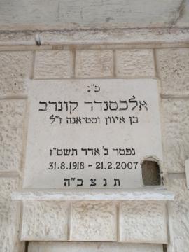 תמונת מצבה
