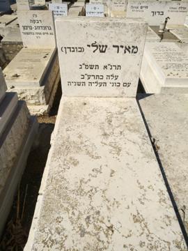 תמונת מצבה