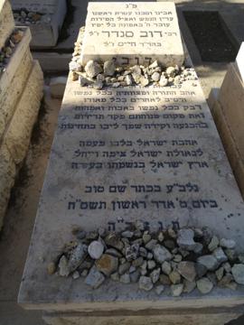 תמונת מצבה