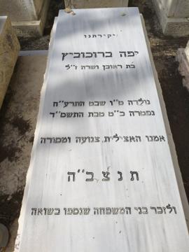 תמונת מצבה