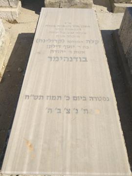 תמונת מצבה