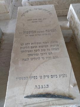 תמונת מצבה