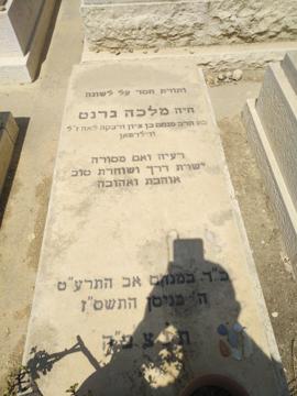 תמונת מצבה