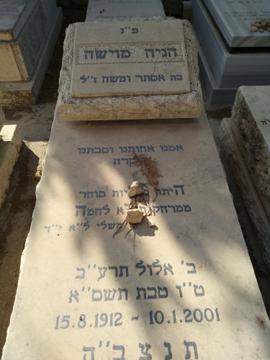 תמונת מצבה