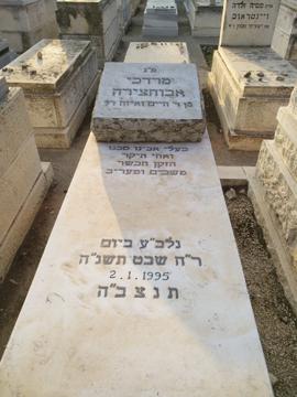 תמונת מצבה