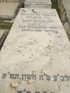 תמונת מצבה