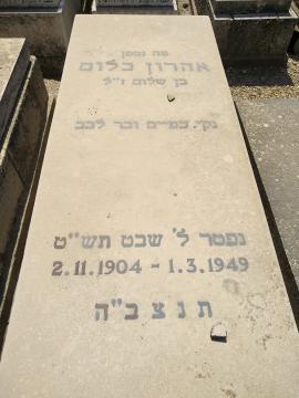 תמונת מצבה