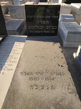 תמונת מצבה