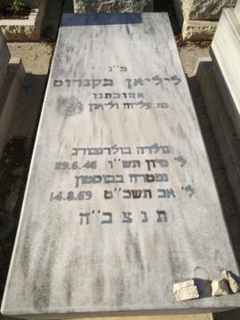 תמונת מצבה