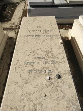 תמונת מצבה