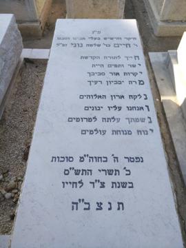 תמונת מצבה
