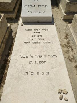 תמונת מצבה