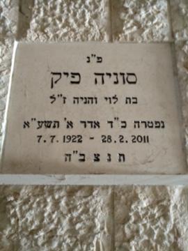 תמונת מצבה