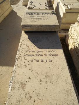 תמונת מצבה