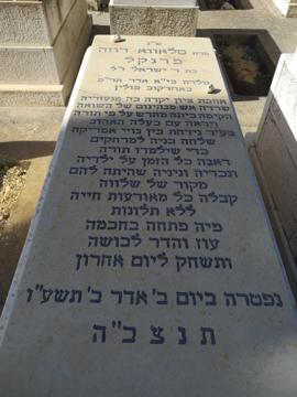 תמונת מצבה