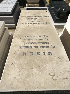 תמונת מצבה