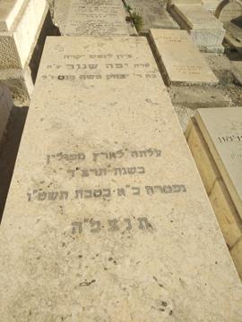תמונת מצבה