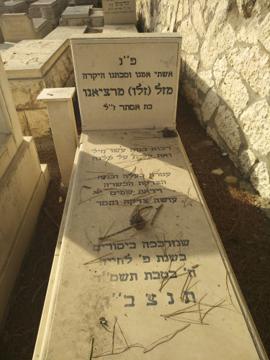 תמונת מצבה