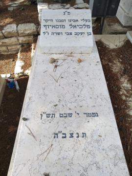 תמונת מצבה