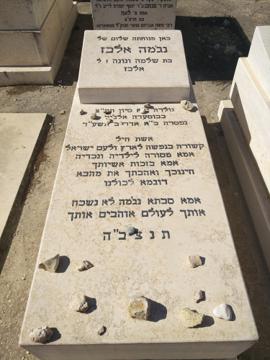 תמונת מצבה