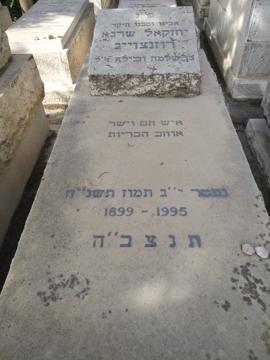 תמונת מצבה