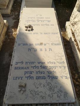 תמונת מצבה