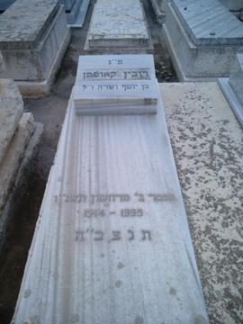 תמונת מצבה