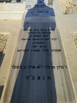 תמונת מצבה