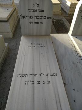 תמונת מצבה