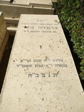 תמונת מצבה
