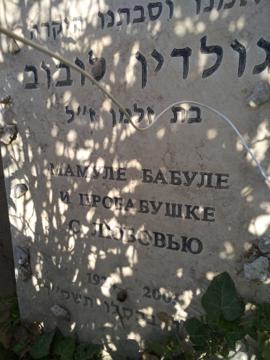 תמונת מצבה