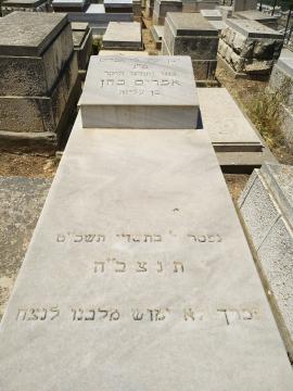 תמונת מצבה