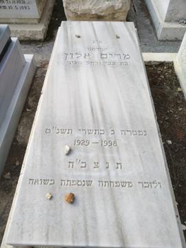 תמונת מצבה