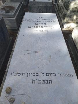תמונת מצבה