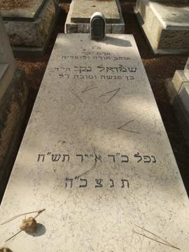 תמונת מצבה