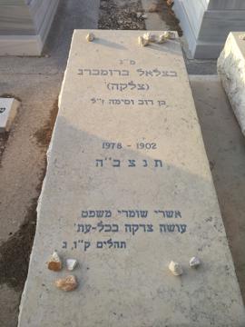 תמונת מצבה