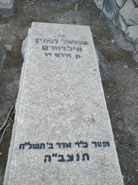 תמונת מצבה