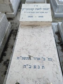 תמונת מצבה