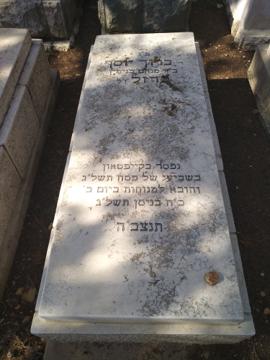 תמונת מצבה