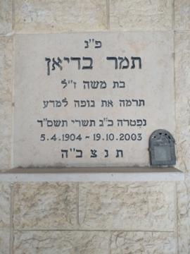 תמונת מצבה