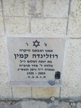 תמונת מצבה