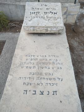 תמונת מצבה