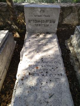 תמונת מצבה