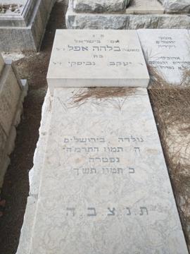 תמונת מצבה