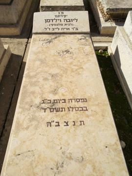 תמונת מצבה