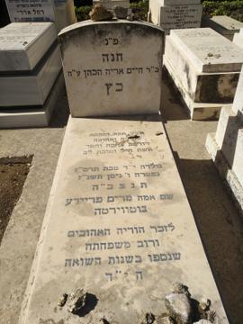 תמונת מצבה