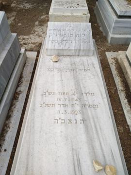 תמונת מצבה